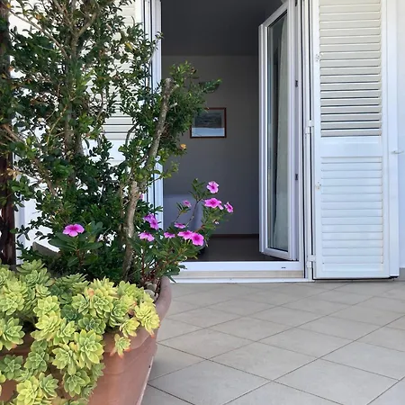 Slijepcevic Apartament *